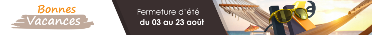 Infographie été site corporate